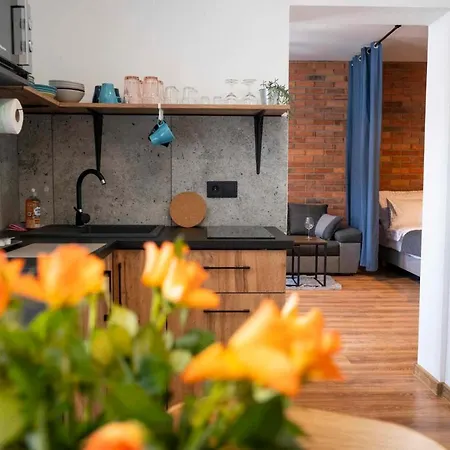 Apartment Krzywa *