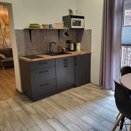 Apartment Krzywa Katowice