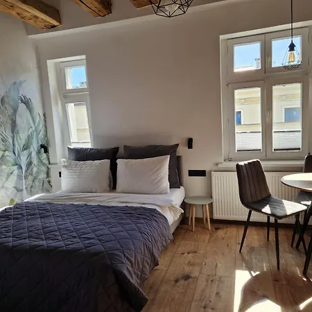 Apartment Krzywa Katowice